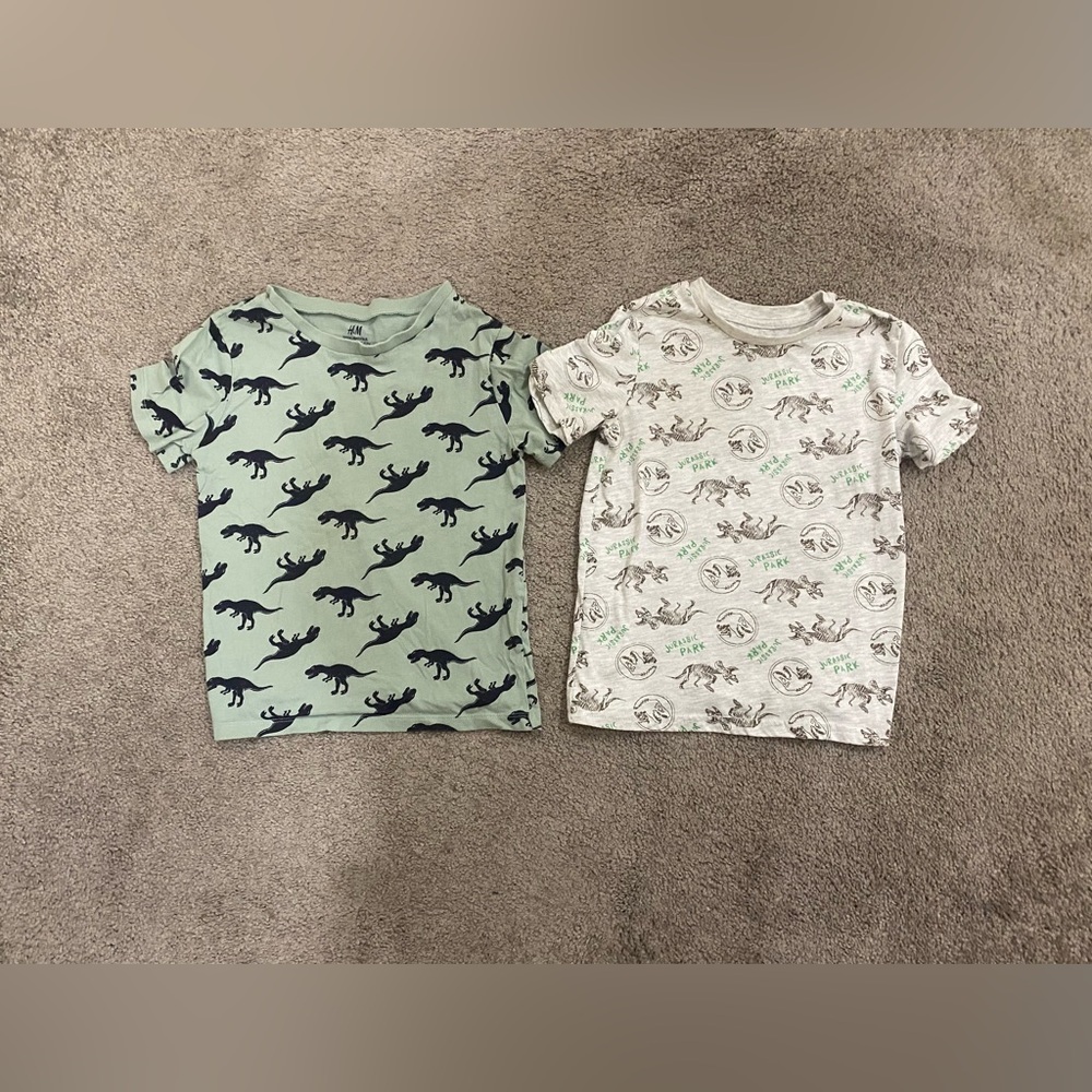 Boys Dinosaur Shirts size 6 (2 total)